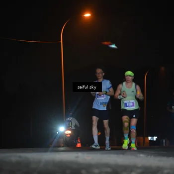 Runner Photo 4525485