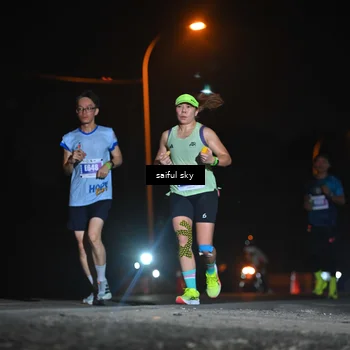 Runner Photo 4525486