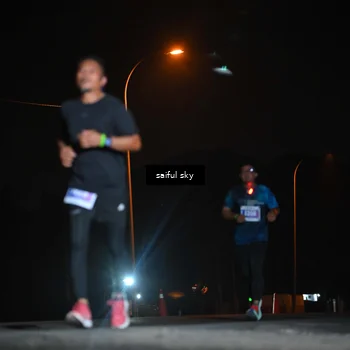 Runner Photo 4525509