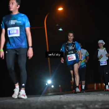 Runner Photo 4525580