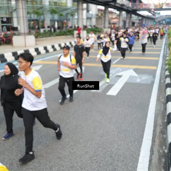 Runner Photo 4528083