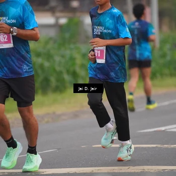Runner Photo 4528103