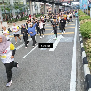 Runner Photo 4528371