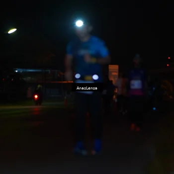 Runner Photo 4528691