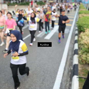 Runner Photo 4529813