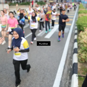 Runner Photo 4530071