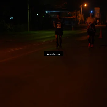 Runner Photo 4531085