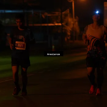 Runner Photo 4531087