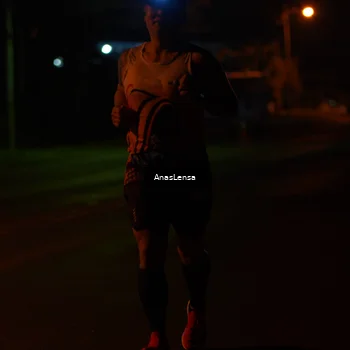 Runner Photo 4531125