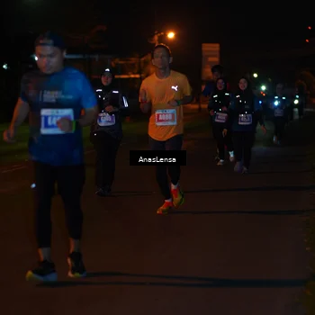 Runner Photo 4531299