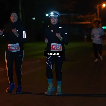Runner Photo 4532383