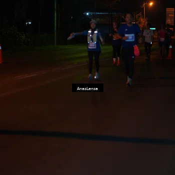 Runner Photo 4533492