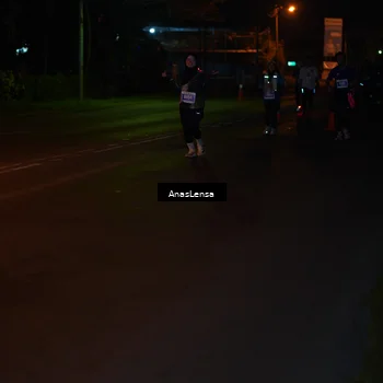 Runner Photo 4533558
