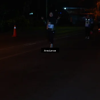 Runner Photo 4533695