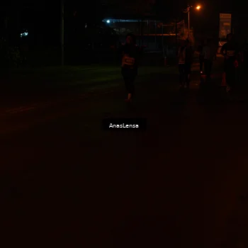 Runner Photo 4533841