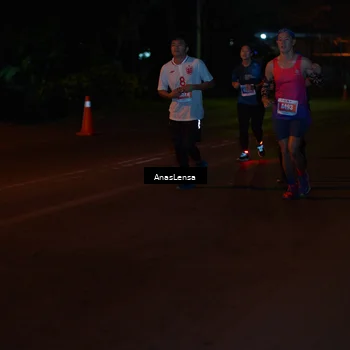 Runner Photo 4533925