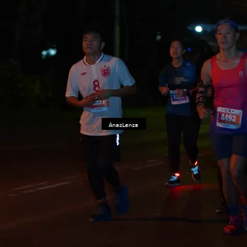 Runner Photo 4533936