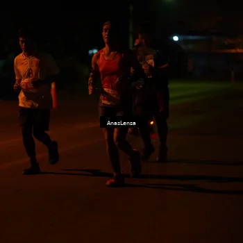 Runner Photo 4534051