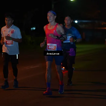 Runner Photo 4534236