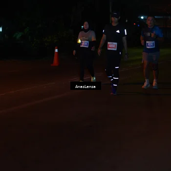 Runner Photo 4534821