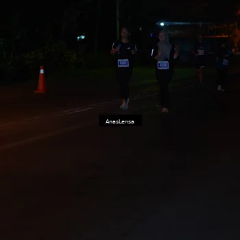 Runner Photo 4535417