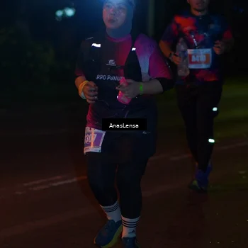 Runner Photo 4535419
