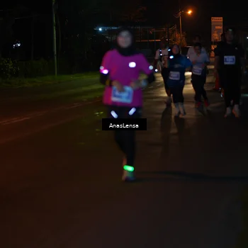 Runner Photo 4536004