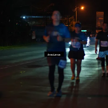 Runner Photo 4536028