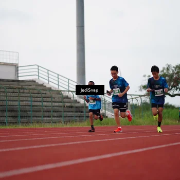 Runner Photo 4536069