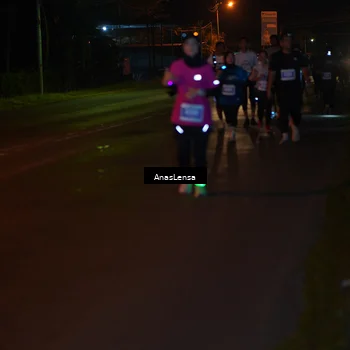 Runner Photo 4536101