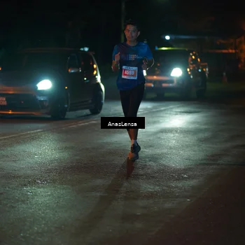 Runner Photo 4537110