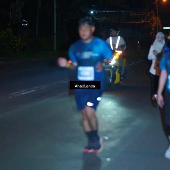 Runner Photo 4538529