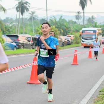 Runner Photo 4538688