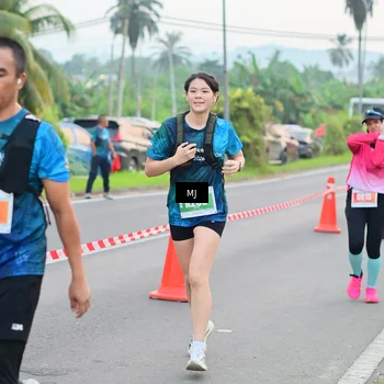 Runner Photo 4538744