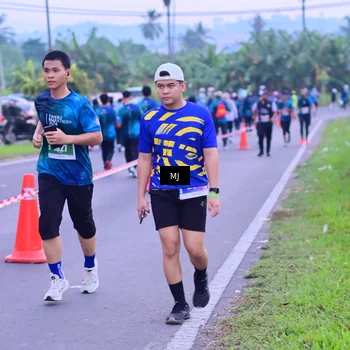 Runner Photo 4539183