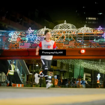 Runner Photo 4539216