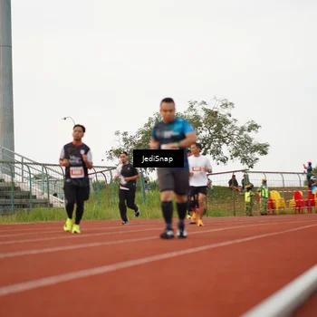 Runner Photo 4539278