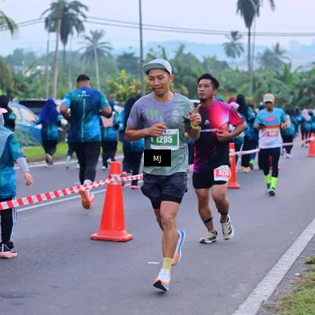 Runner Photo 4539505