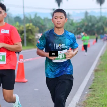 Runner Photo 4539709