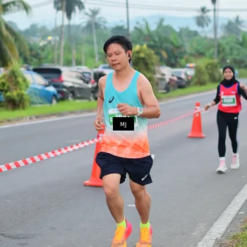 Runner Photo 4539810
