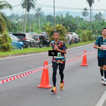 Runner Photo 4539927