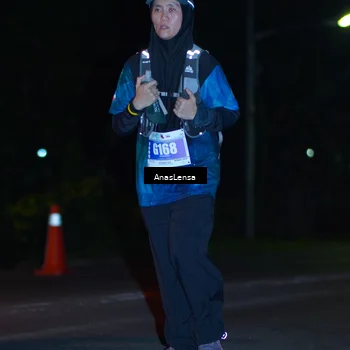 Runner Photo 4540287