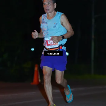 Runner Photo 4540422