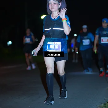 Runner Photo 4540721