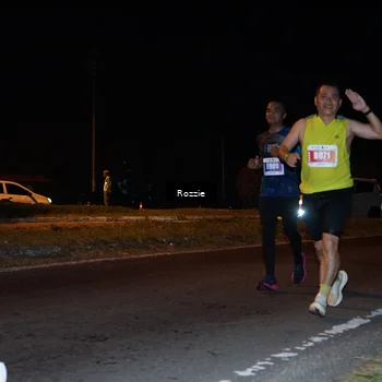 Runner Photo 4541628