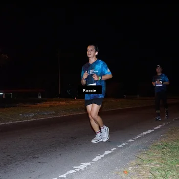 Runner Photo 4541918