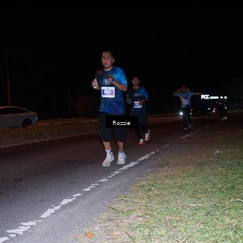 Runner Photo 4541980