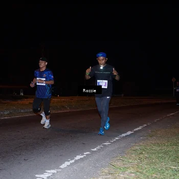 Runner Photo 4542000