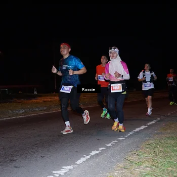 Runner Photo 4542103