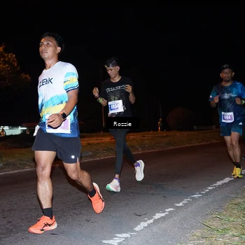 Runner Photo 4542212